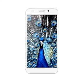 HUAWEI HONOR 6